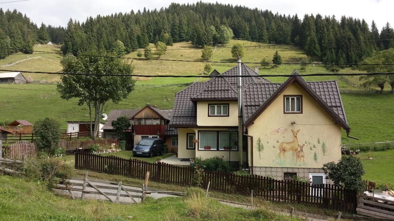 Casa Marcela Fundata Buitenkant foto